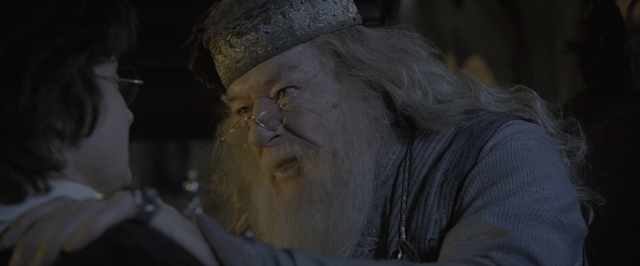 Harry Potter — Did You Put Your Name in the Goblet of Fire cover